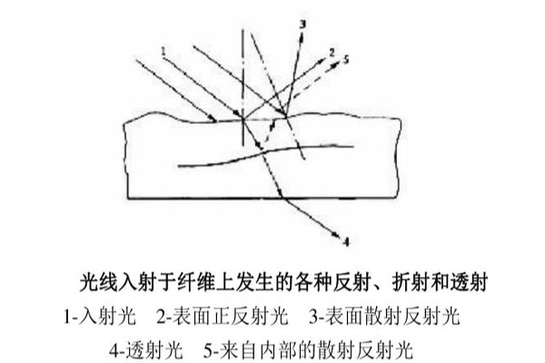 光線入射于纖維上發(fā)生的各種反射、折射和透射